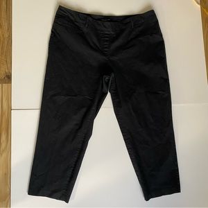 Zac & Rachel Woman Black Skinny Pants Size 22W